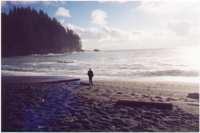 The beach view