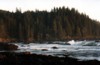 East side of the bay