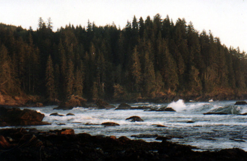 East Bay