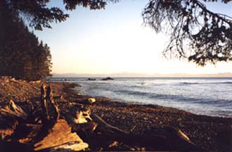 A view to enjoy