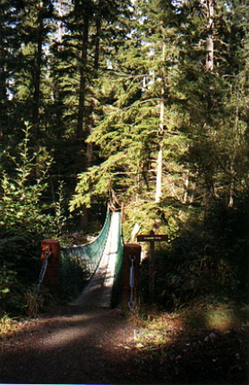 The suspension bridge over Sombrio river