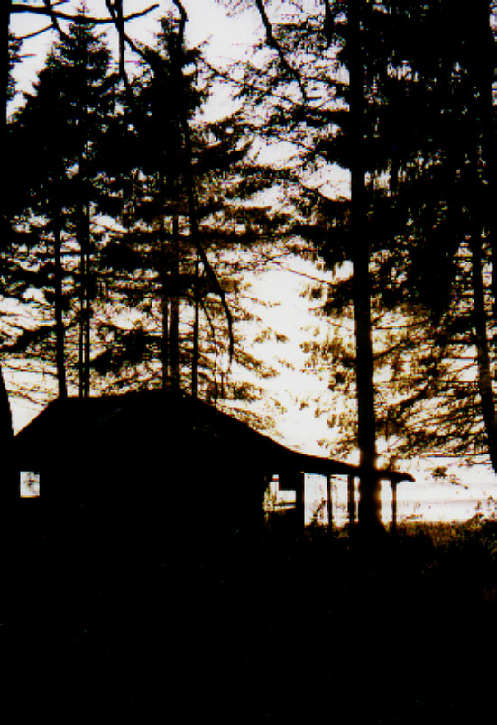 Surfer's cabin