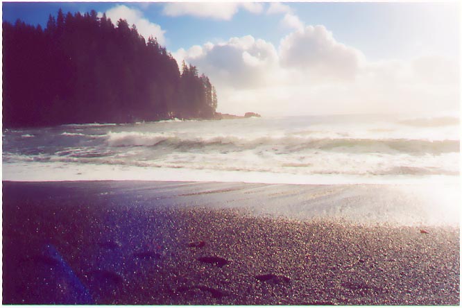 Footprints in the sand