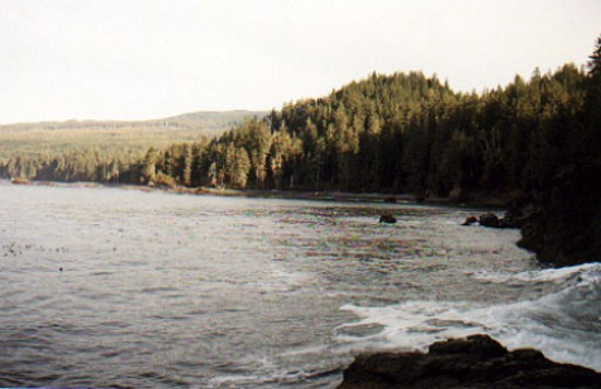 A view of Sombrio from above the cliff.&nbsp; Its high tide