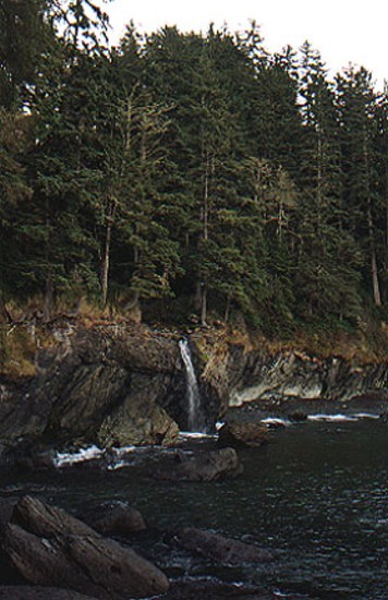shoreline.JPG
