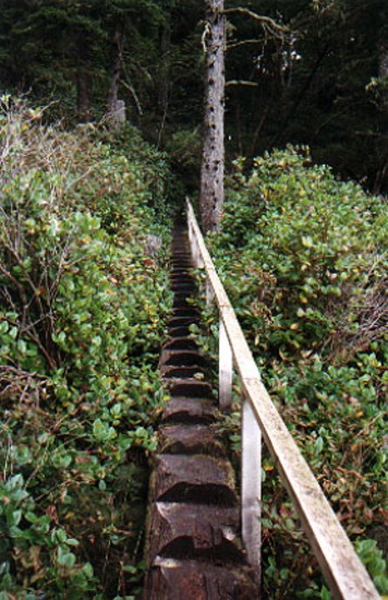steps.JPG