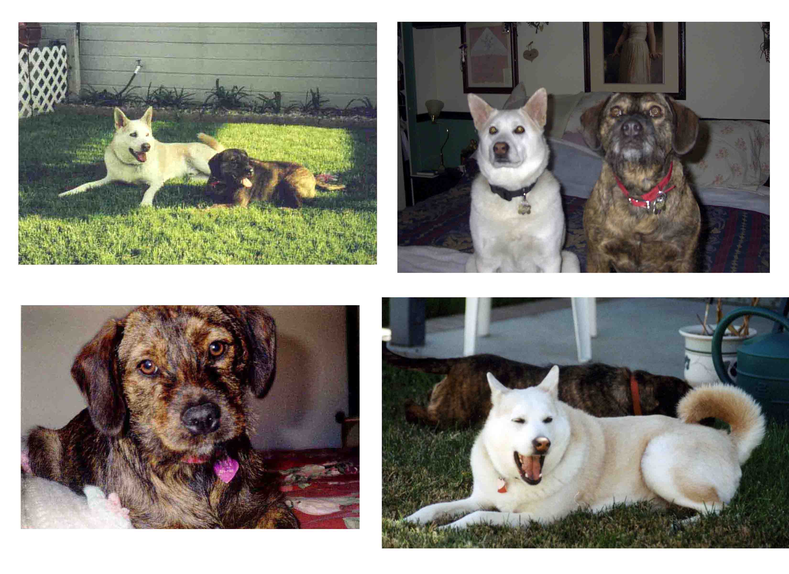 To think their are monsters out there that would harm these sweet souls in any way... God have mercy on them!!