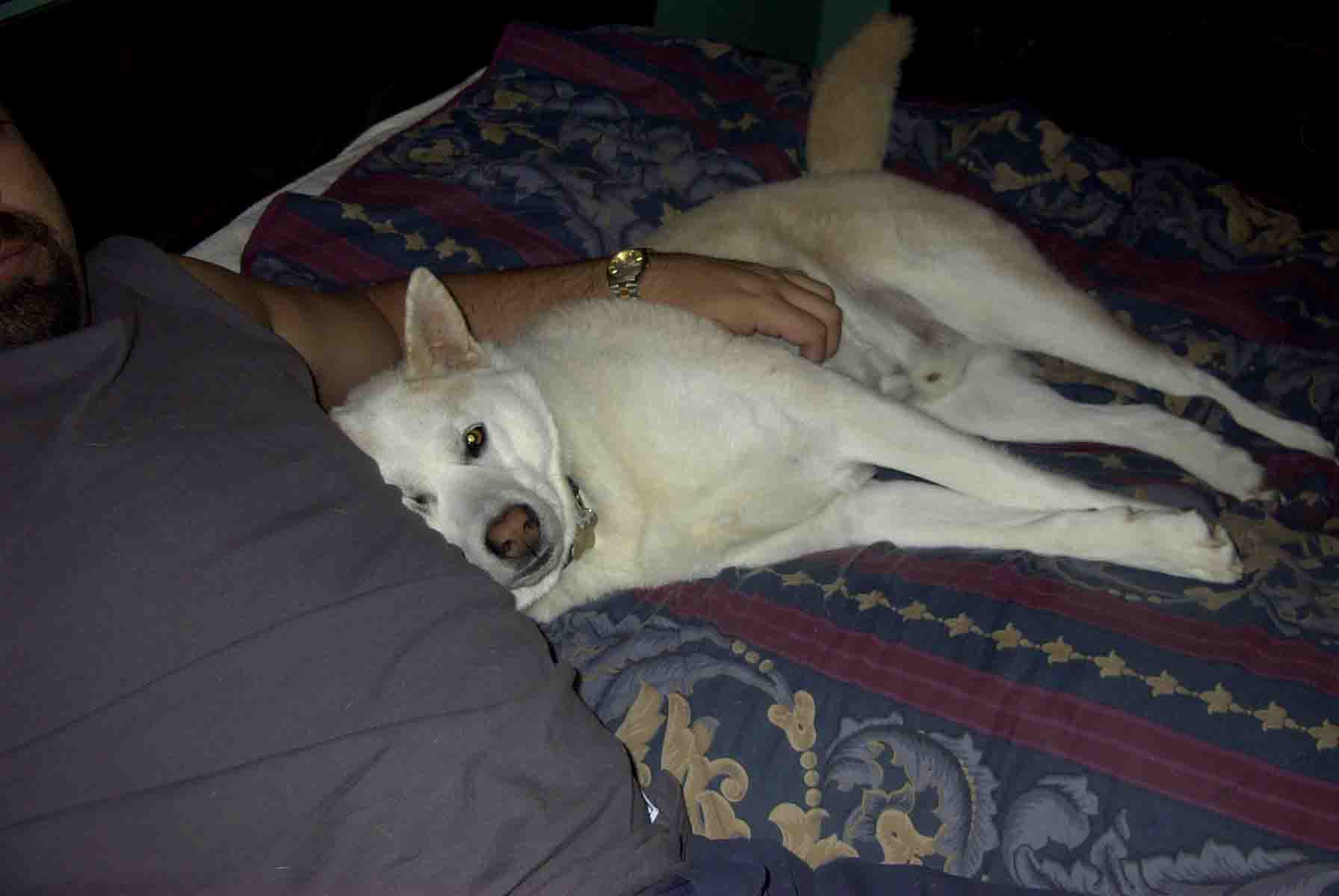 Buster Loved His Daddy Sooooooooo Much...
