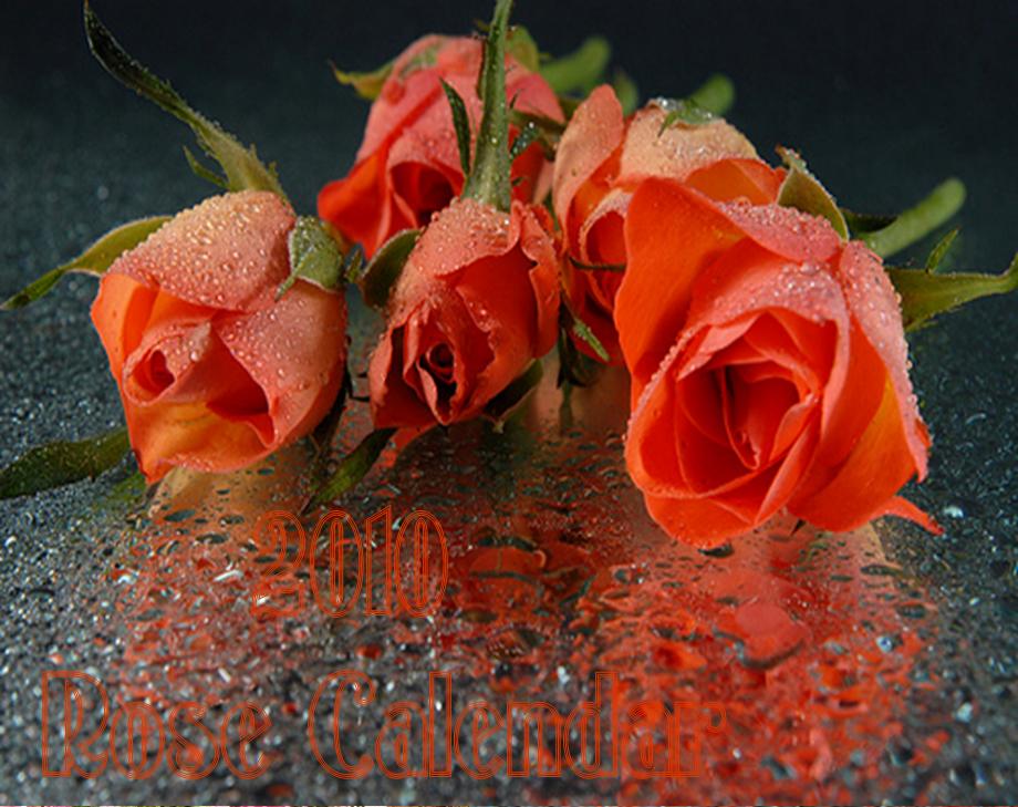 rose calendar cover