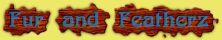 Welcome to Fur and Featherz!