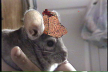 The World-Famous Detective Chin