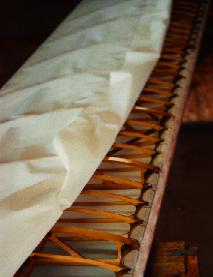 wing