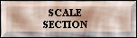 Scale section information