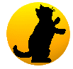 Kitty in the Moonlight