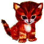 Cyber kitty