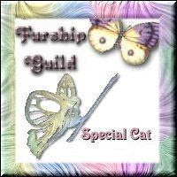 special