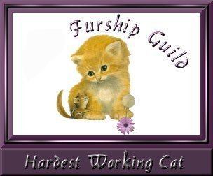 Hardest Working