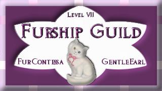 Level 7 Award