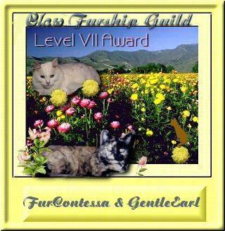 Level 7 Award
