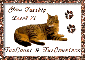 Furship Level VI