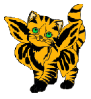 Kitty fairy