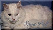 SnowPuff