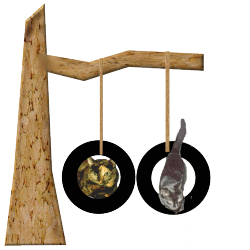 mokemystswing.gif (36053 bytes)