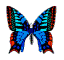 Snoweybut.gif (19462 bytes)