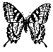 adult (625 bytes)