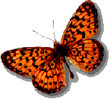 anniecbut.gif (5986 bytes)
