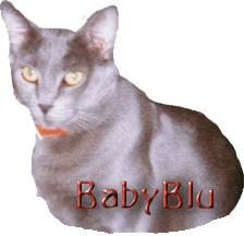 bablybluadtr.gif (21374 bytes)