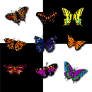 bluesbut.gif (6173 bytes)