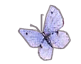 butterflyad.gif (2736 bytes)