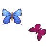 buttermok2.jpg (2531 bytes)