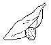 eggs.gif (1149 bytes)