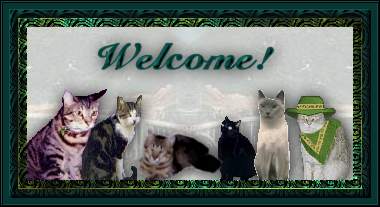 Welcome(17322 bytes)