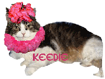 keedie (14711 bytes)