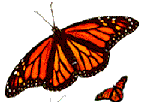 monarchpep.gif (4200 bytes)