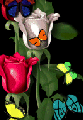mosesbut.gif (6961 bytes)