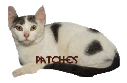 patches (16948 bytes)