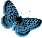 pinkbut.gif (5334 bytes)