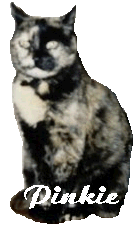 Pinkie (16821 bytes)