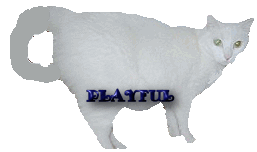 playfultr.gif (8944 bytes)