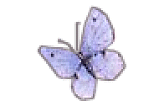 playtxtyk.gif (6209 bytes)