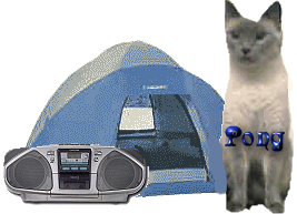 pongcamp.gif (19003 bytes)