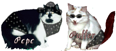 puffpepesv.gif (31957 bytes)