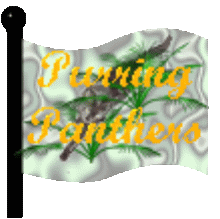 purrpantherflag.gif (20006 bytes)