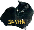 sasha (6631 bytes)