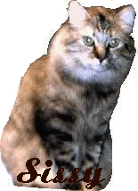 sissycotr.gif (20615 bytes)