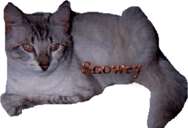 snoweyad.gif (25323 bytes)